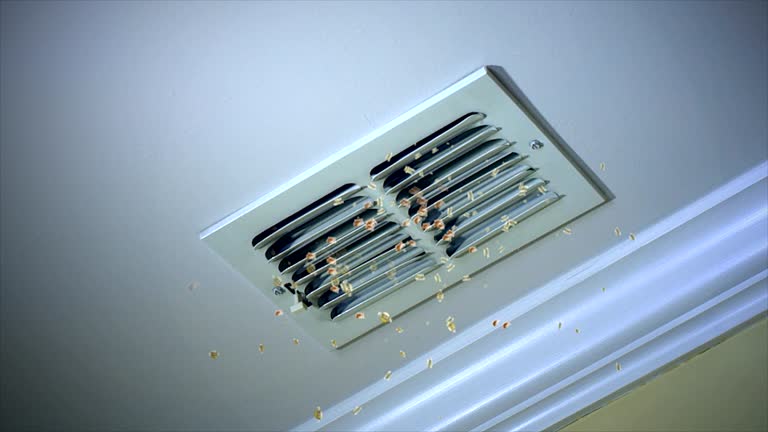 Best Residential Air Duct Cleaning  in Cynthiana, KY