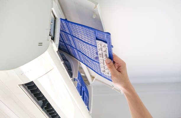 Best Air Duct Cleaning Company Near Me  in Cynthiana, KY