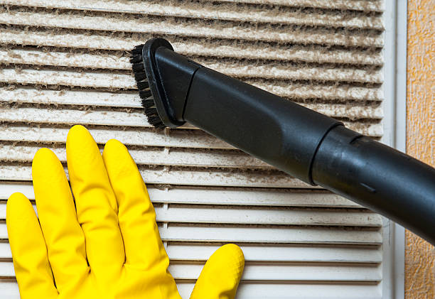 Best Ventilation Cleaning Services  in Cynthiana, KY
